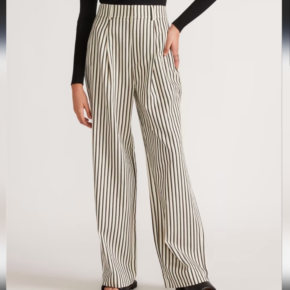 BNWT Everlane Way High Drape Pant stripe 8S